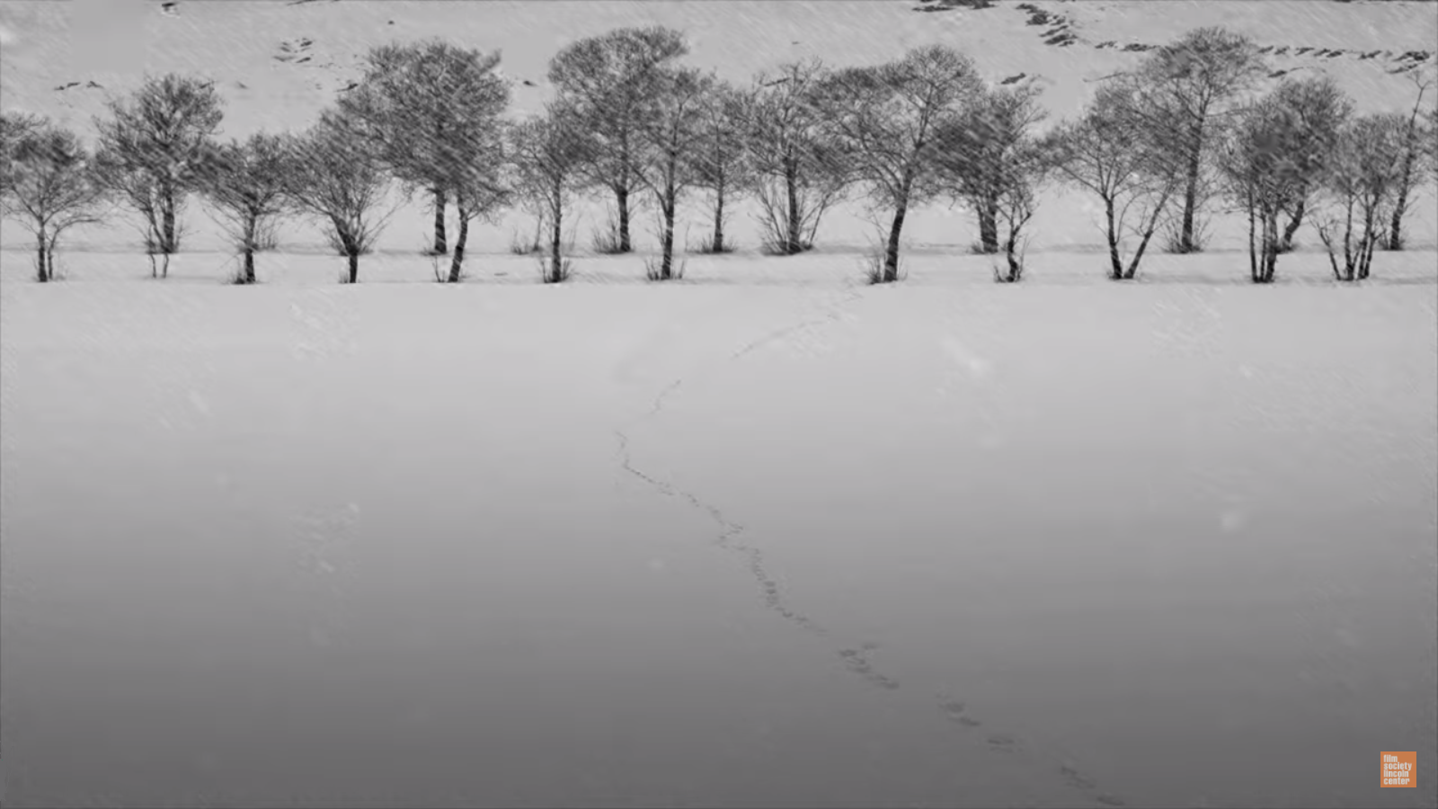 24 FRAMES – F for Films